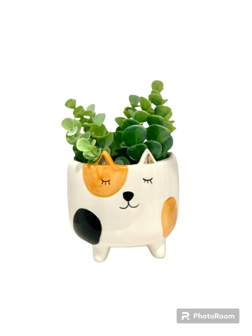 Ceramic Cat Planter - Picture 4 of 6